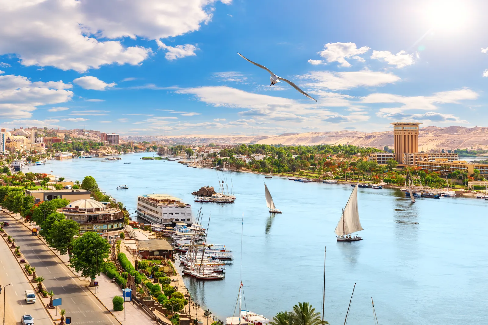The Nile at Aswan with feluccas and a cruise boat on the river, Egypt