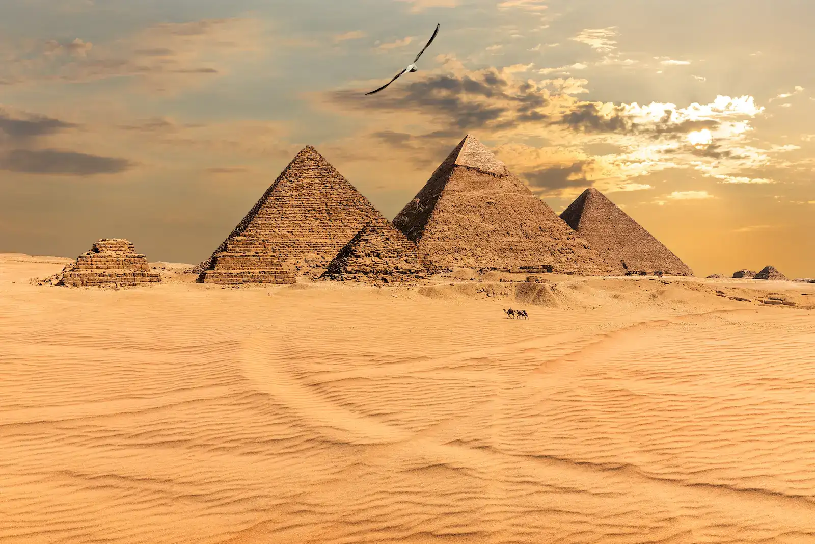The Giza pyramids across golden desert sand at sunset near Cairo, Egypt